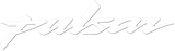 Pulsar
